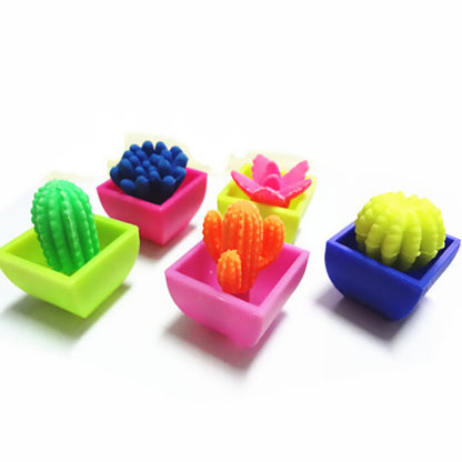 8 Pcs/Set Magic Hatching Cactus Growing Water Succulent Plant Colourful Surprise For Children Educational Toy Gift Ornaments