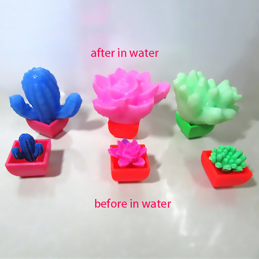 8 Pcs/Set Magic Hatching Cactus Growing Water Succulent Plant Colourful Surprise For Children Educational Toy Gift Ornaments