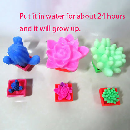 8 Pcs/Set Magic Hatching Cactus Growing Water Succulent Plant Colourful Surprise For Children Educational Toy Gift Ornaments